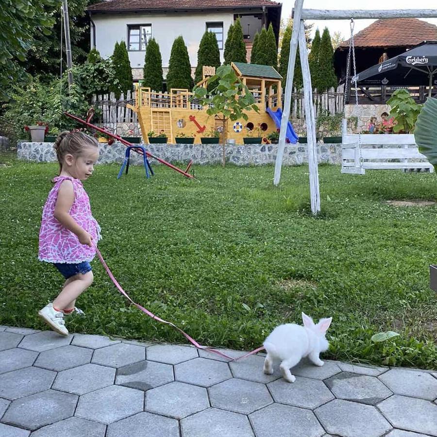 Restoran,,Vuk,, Trsic Bed & Breakfast Екстериор снимка